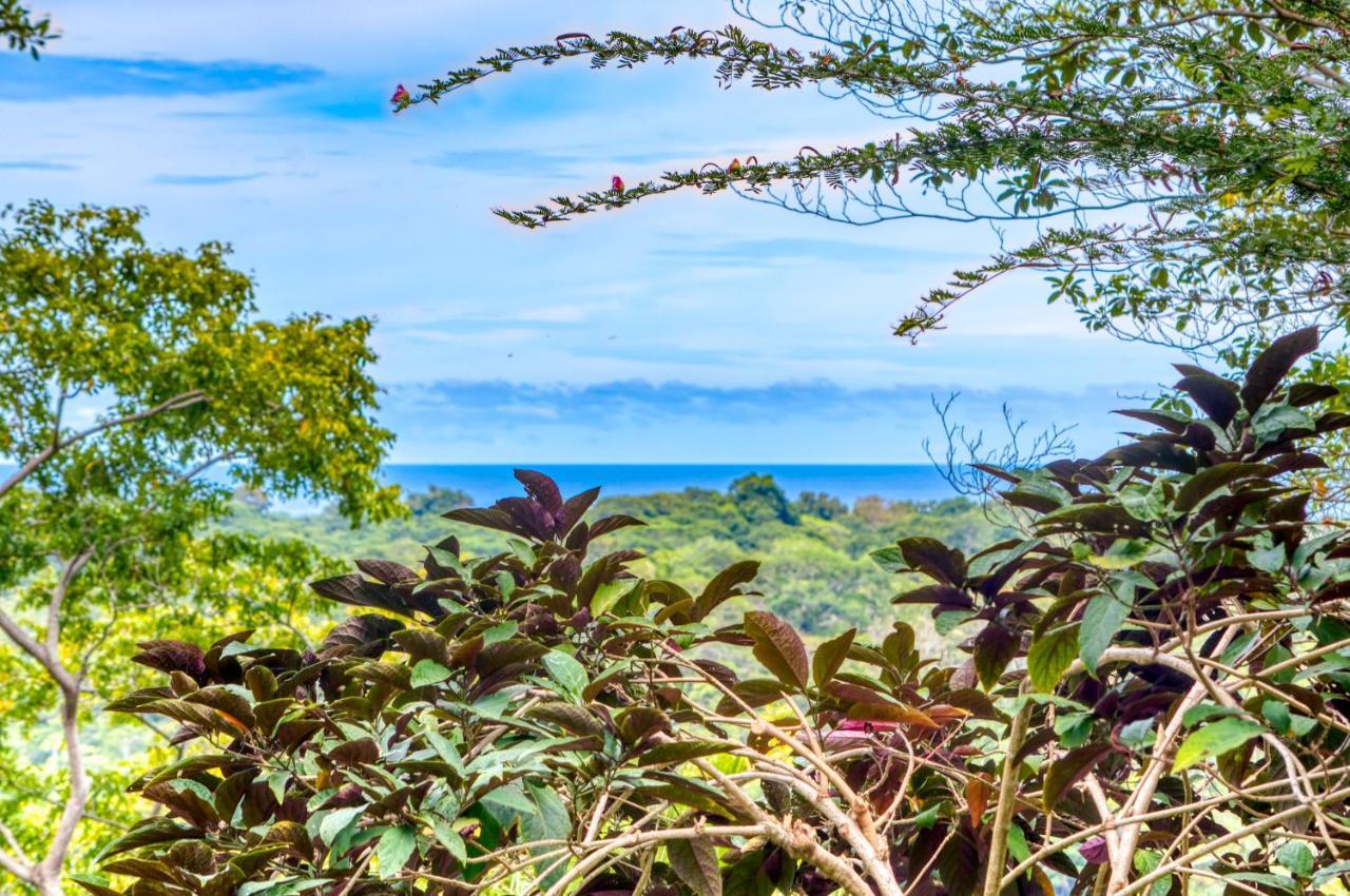 Hotel Casa Conley Del Mar Puerto Viejo de Talamanca Eksteriør bilde