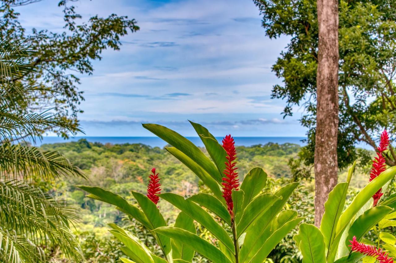 Hotel Casa Conley Del Mar Puerto Viejo de Talamanca Eksteriør bilde
