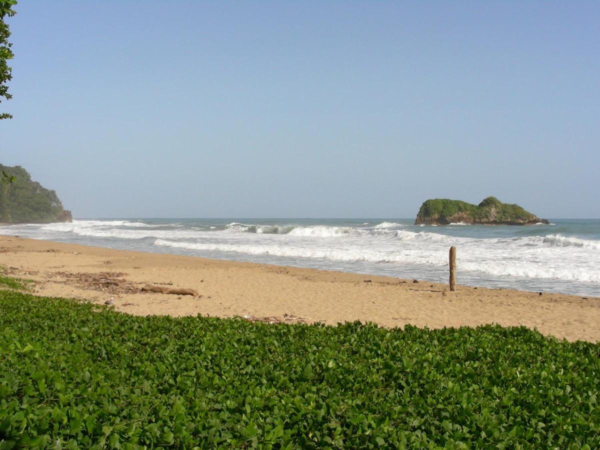 Hotel Casa Conley Del Mar Puerto Viejo de Talamanca Eksteriør bilde